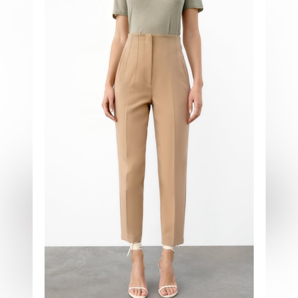 Zara High-Waisted Pants in Taupe-Brown - Picture 2 of 9